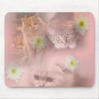 Cute cat mouse mat