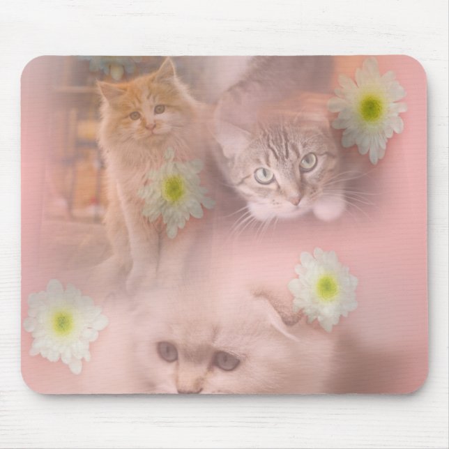 Cute cat mouse mat (Front)