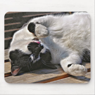 CUTE CAT MOUSE MAT