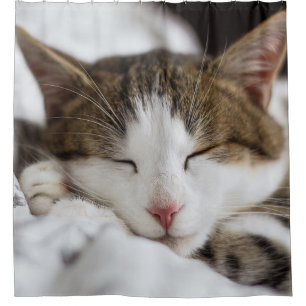 Cute Cat Nap  Shower Curtain