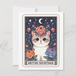 Cute Cat Note Card
