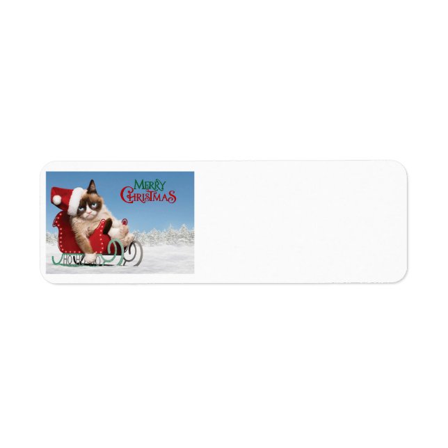 Cute cat on a sleigh (Front)