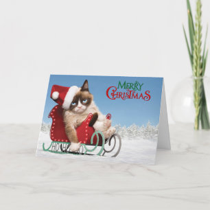 Cute cat on a sleigh holiday card