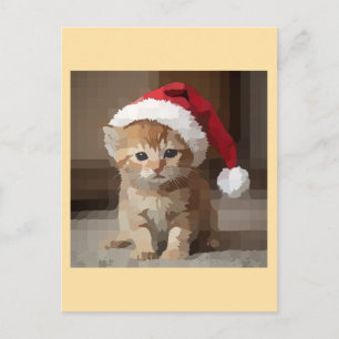 Cute cat on Christmas night. Holiday Postcard