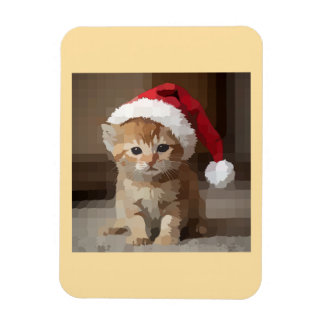 Cute cat on Christmas night. Magnet