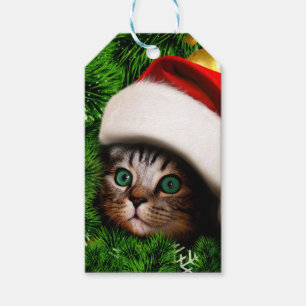 Cute Cat on Christmas tree Gift Tags