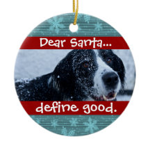 Cute Cat or Dog Pet Christmas Photo Ornament