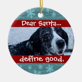 Cute Cat or Dog Pet Christmas Photo Ornament