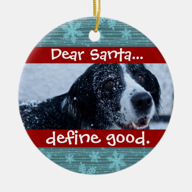 Cute Cat or Dog Pet Christmas Photo Ornament (Front)
