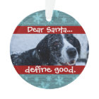 Cute Cat or Dog Pet Christmas Photo Ornament