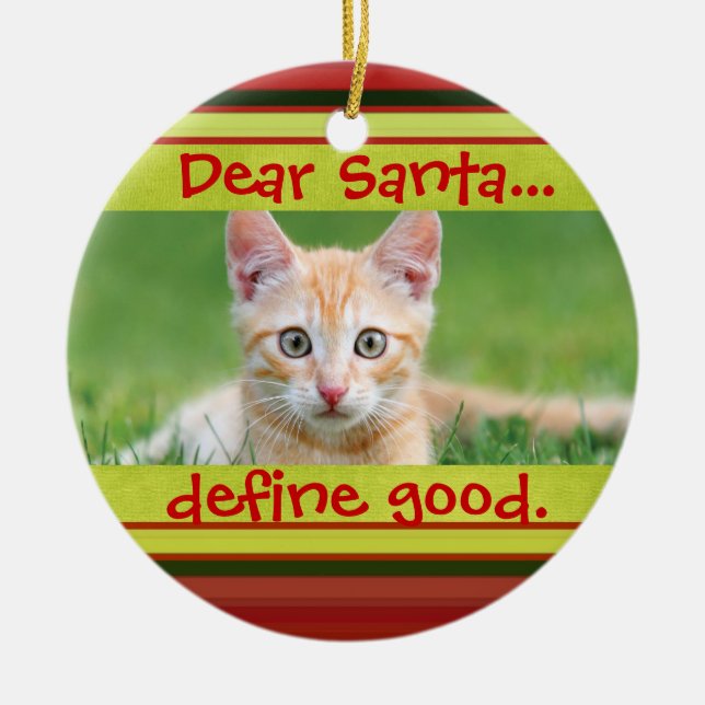 Cute Cat or Dog Pet Christmas Photo Ornament (Front)