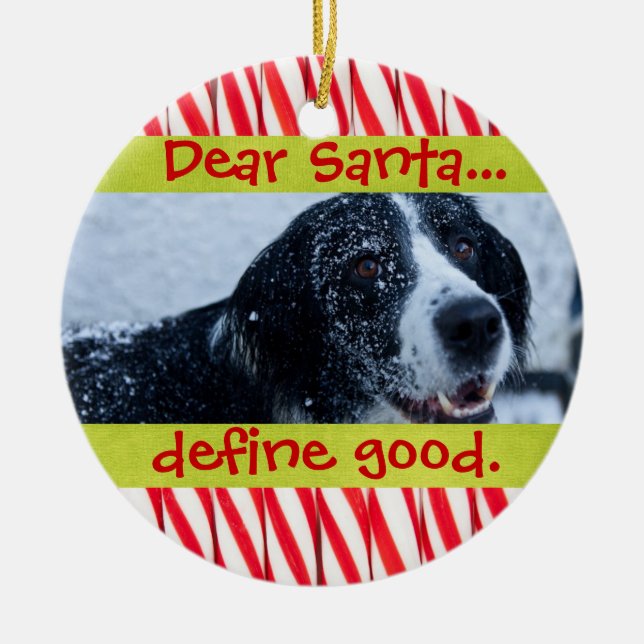 Cute Cat or Dog Pet Christmas Photo Ornament (Front)