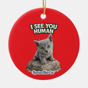 Cute cat ornament with “I See You Human” quote.
