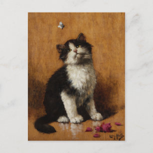 Cute Cat Painting Postcard