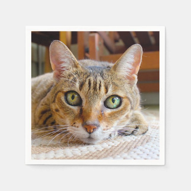 Cute Cat paper napkins (Front)