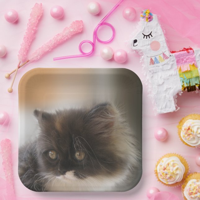 Cute Cat Paper Plate (Party)