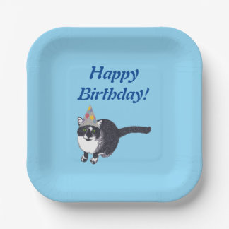 Cute Cat Party Hat Happy Birthday Plates 2