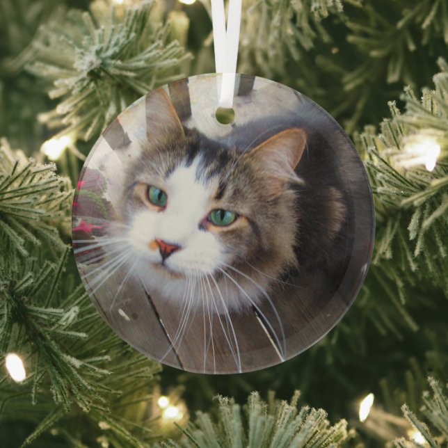 Cute Cat Pet Lovers Create Your Own Custom Glass Tree Decoration (Insitu)