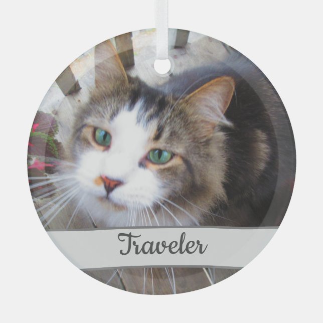 Cute Cat Pet Lovers Create Your Own Custom Glass Tree Decoration (Front)