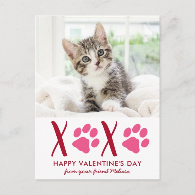 Cute Cat Pet Photo Valentines Day Holiday Card (Front)