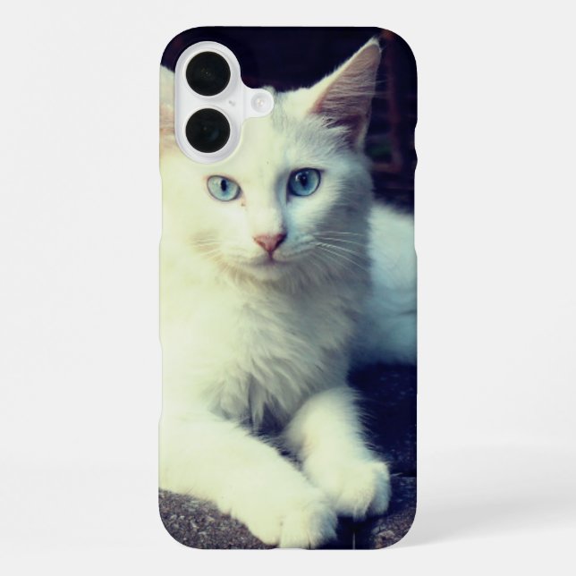 Cute Cat Phone Case (Back)