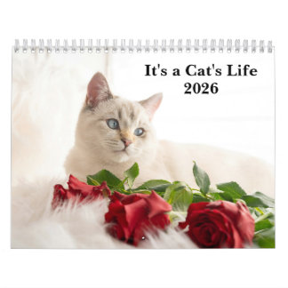 Cute Cat Photo It’s A Cat’s Life 2026 Calendar