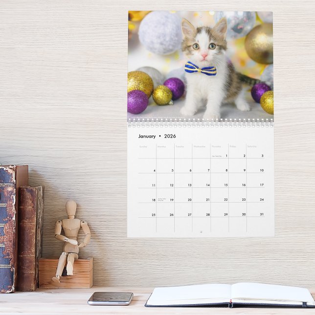 Cute Cat Photo It’s A Cat’s Life 2026  Calendar (Creator Uploaded)