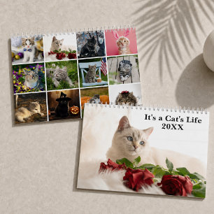 Cute Cat Photo It’s A Cat’s Life 2027 Calendar