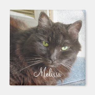 Cute Cat Photo Personalised White Script  Magnet