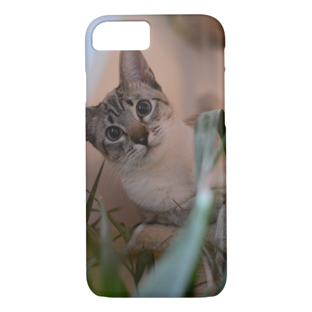 Cute Cat Photo Portrait Case-Mate iPhone Case (Back)