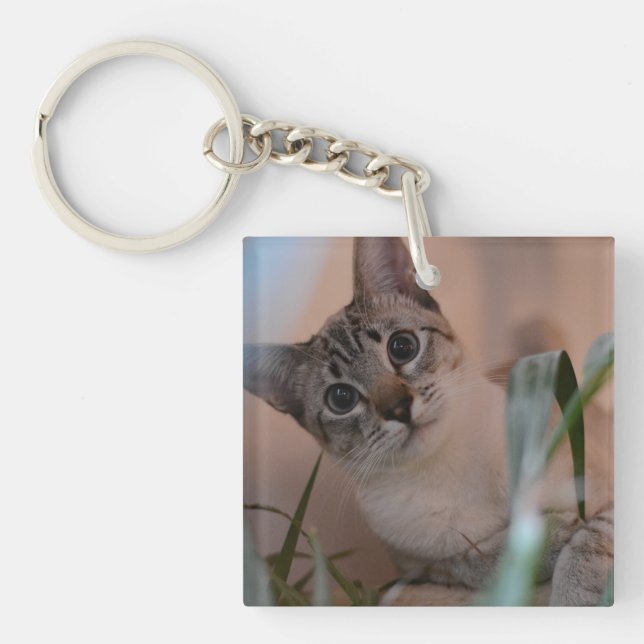 Cute Cat Photo Portrait Key Ring (Front)