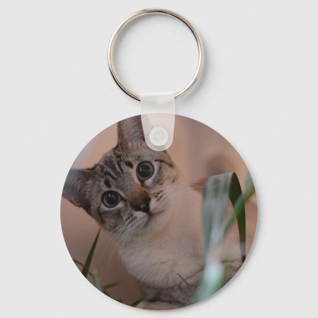 Cute Cat Photo Portrait Key Ring (Front)