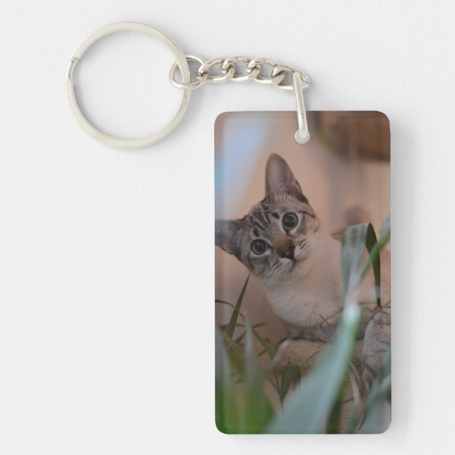 Cute Cat Photo Portrait Key Ring (Front)