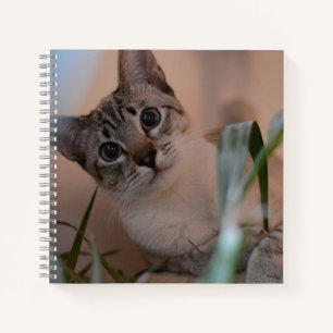 Cute Cat Photo Portrait Notebook