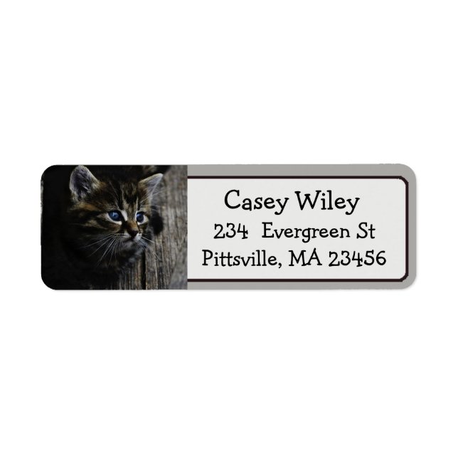 Cute Cat Photo Return Address Label (Front)