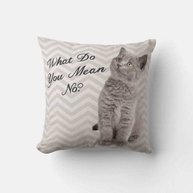 Cute Cat Pillow (Front)
