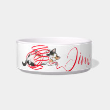 Cute Cat Playing with a Ribbon