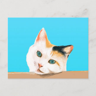 Cute Cat Postcard