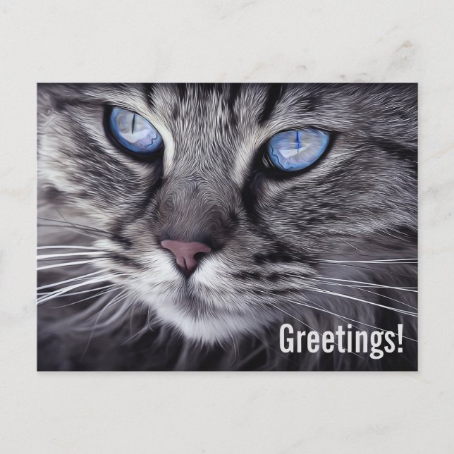 Cute Cat Postcard Post Card (Front)