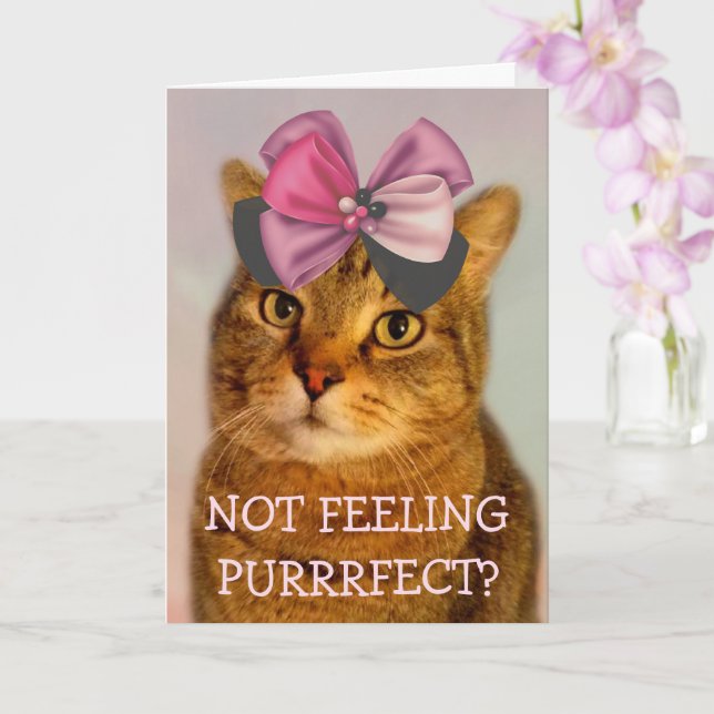 Cute Cat Pun Joke Get Well Card (Orchid)