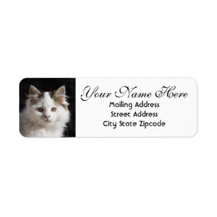 Cute Cat Return Address