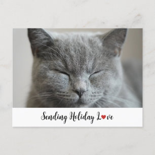Cute Cat Sending Holiday Love Postcard
