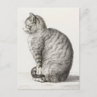 Cute Cat Sketch Jean-Bernard Duvivier Postcard