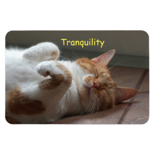 Cute Cat Sleeping Flexible Magnet