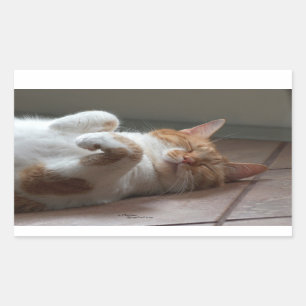 Cute Cat sleeping Rectangle Stickers