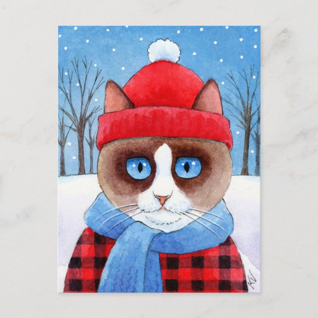 Cute cat snow Christmas Ragdoll Snowshoe postcard (Front)