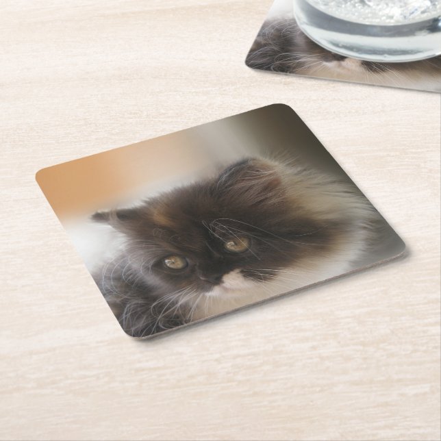 Cute Cat Square Paper Coaster (Angled)