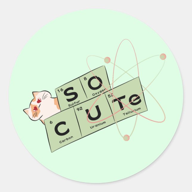 Cute Cat Sticker  (Front)