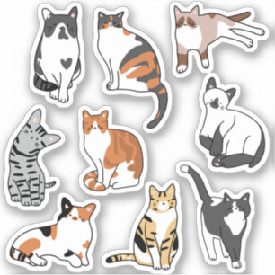 Cute Cat Sticker