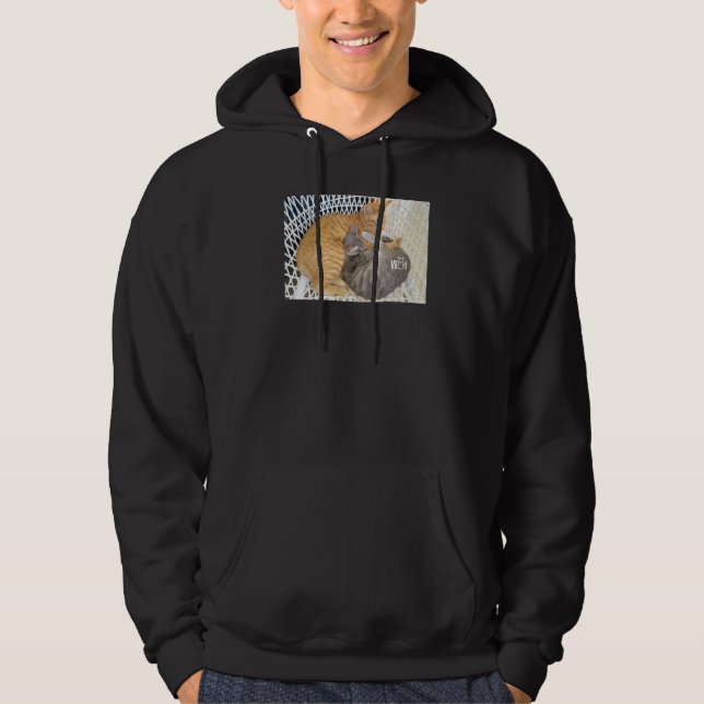 Cute Cat stuff for Cat  girls women men kids boys Hoodie (Front)